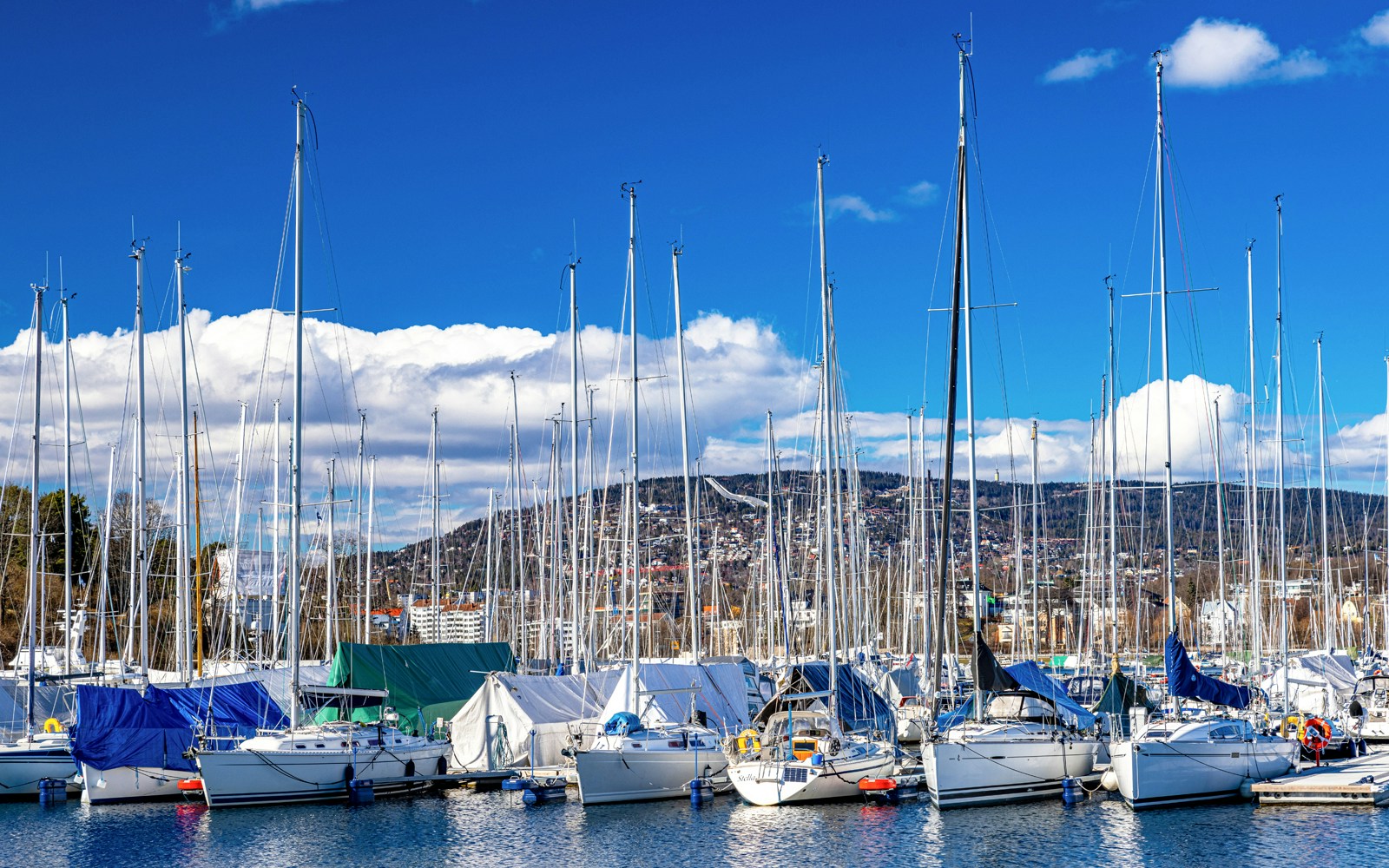 Sailboats docked at a marina in Bygdøy, Oslo with hills in the background.