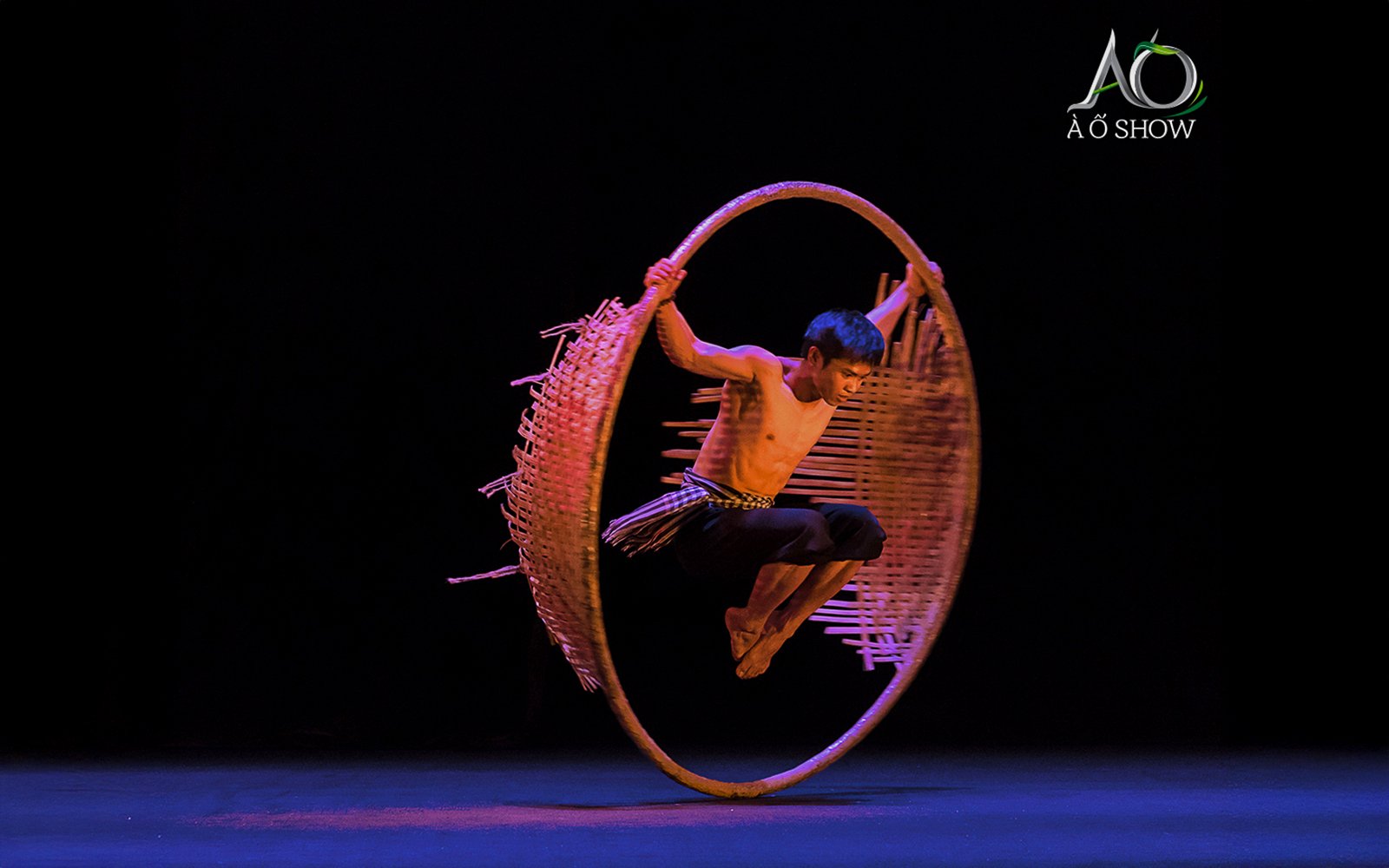 Performer balancing in a bamboo hoop at the AO Show.