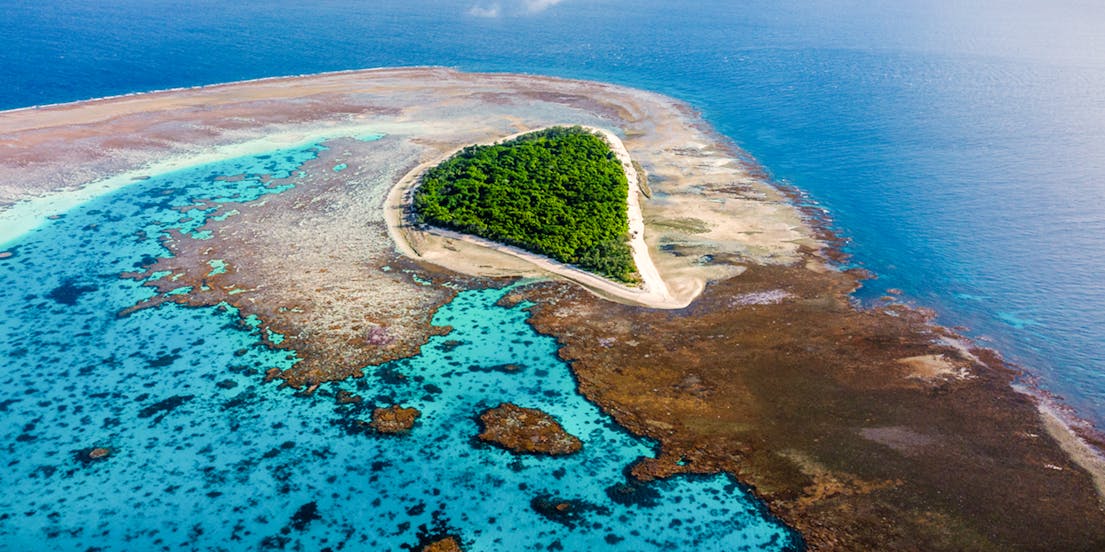 Lady Musgrave Island