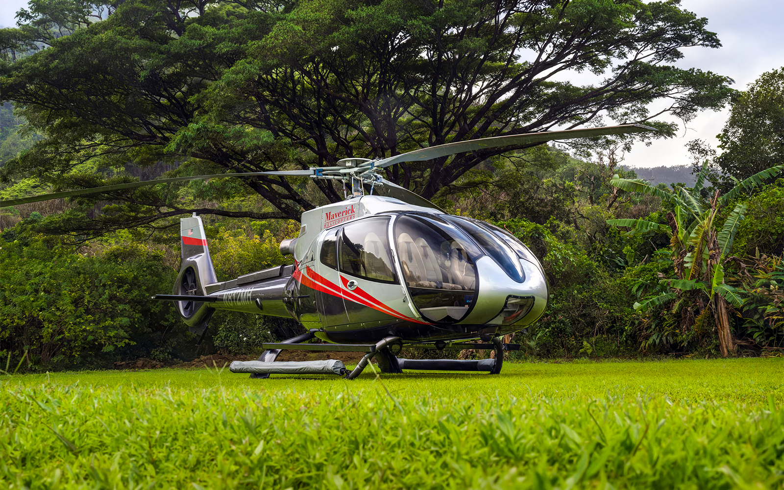 Helicopter on grass in Hana Rainforest, Hawaii, ready for tour.