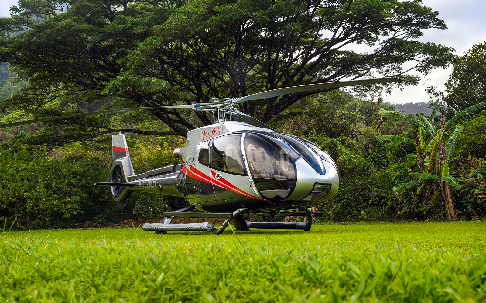 Helicopter on grass in Hana Rainforest, Hawaii, ready for tour.