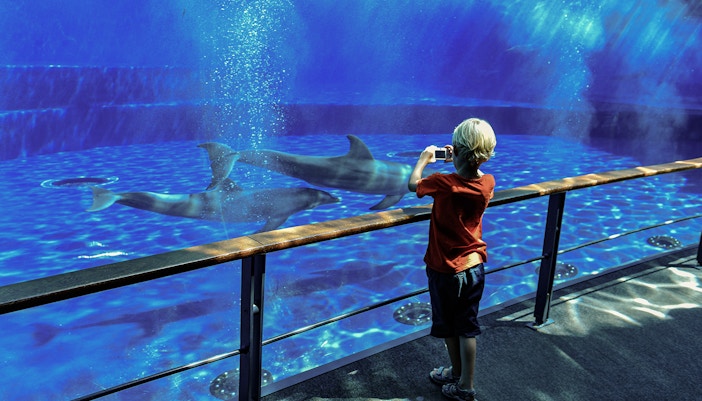 About Genoa Aquarium