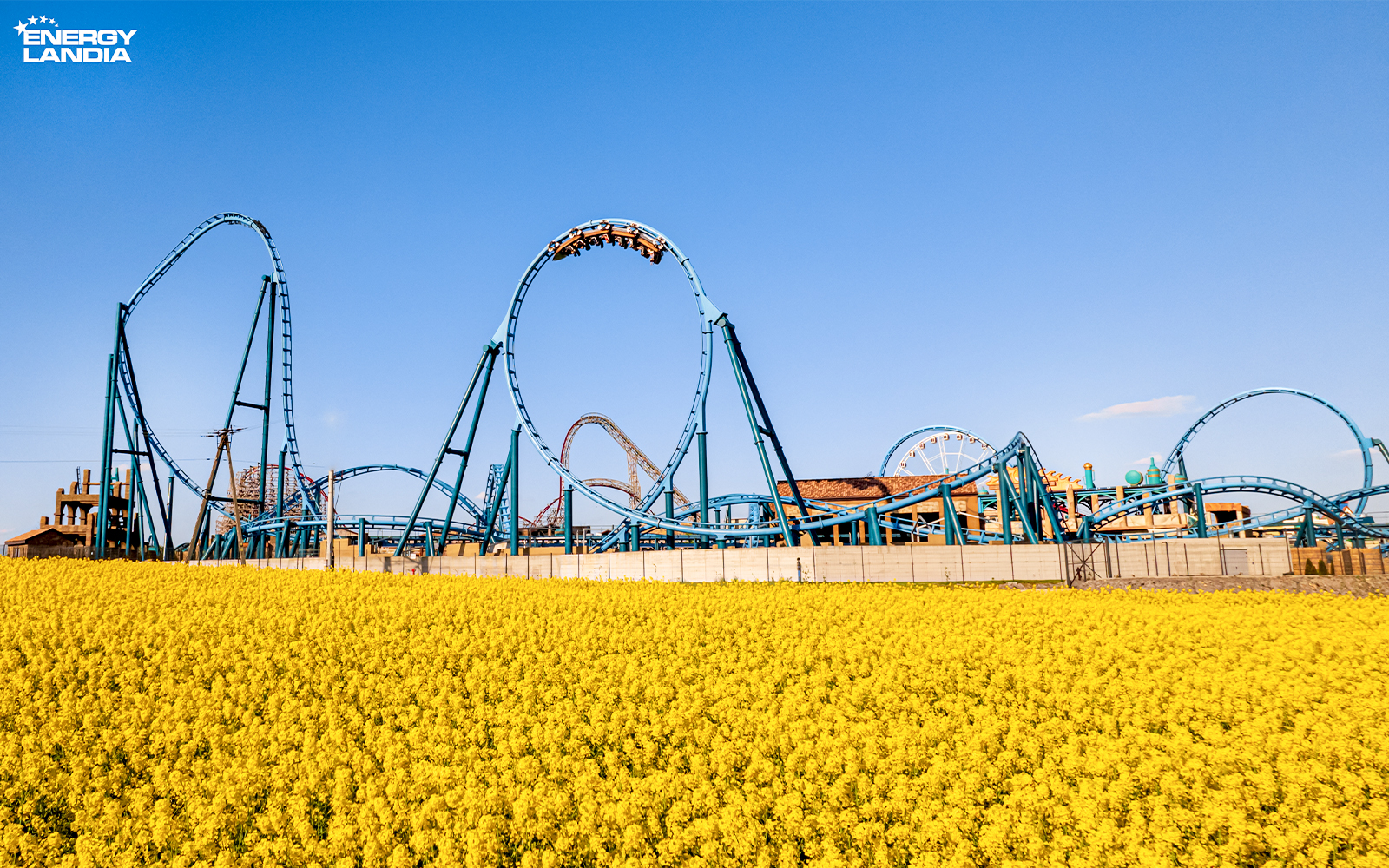 Rollercoaster at Energylandia Theme Park, Zator, Poland, with yellow flowers in foreground.