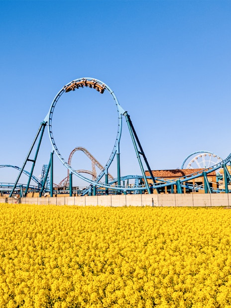 Rollercoaster at Energylandia Theme Park, Zator, Poland, with yellow flowers in foreground.