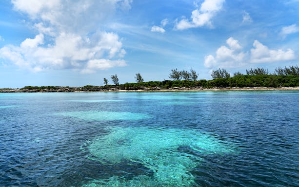 Turquoise waters and lush shoreline of Green Cays, Nassau, Bahamas.