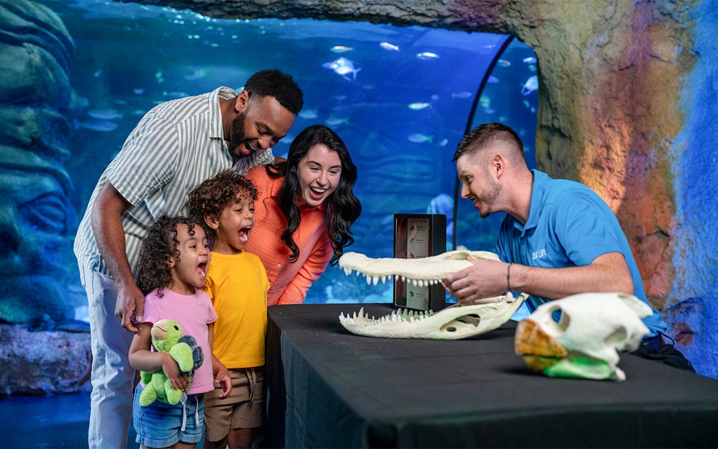 Family learning about sea life at EduTable, Sea Life Orlando.