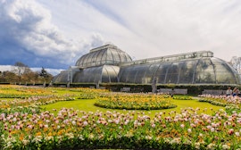 - Giardino botanico reale