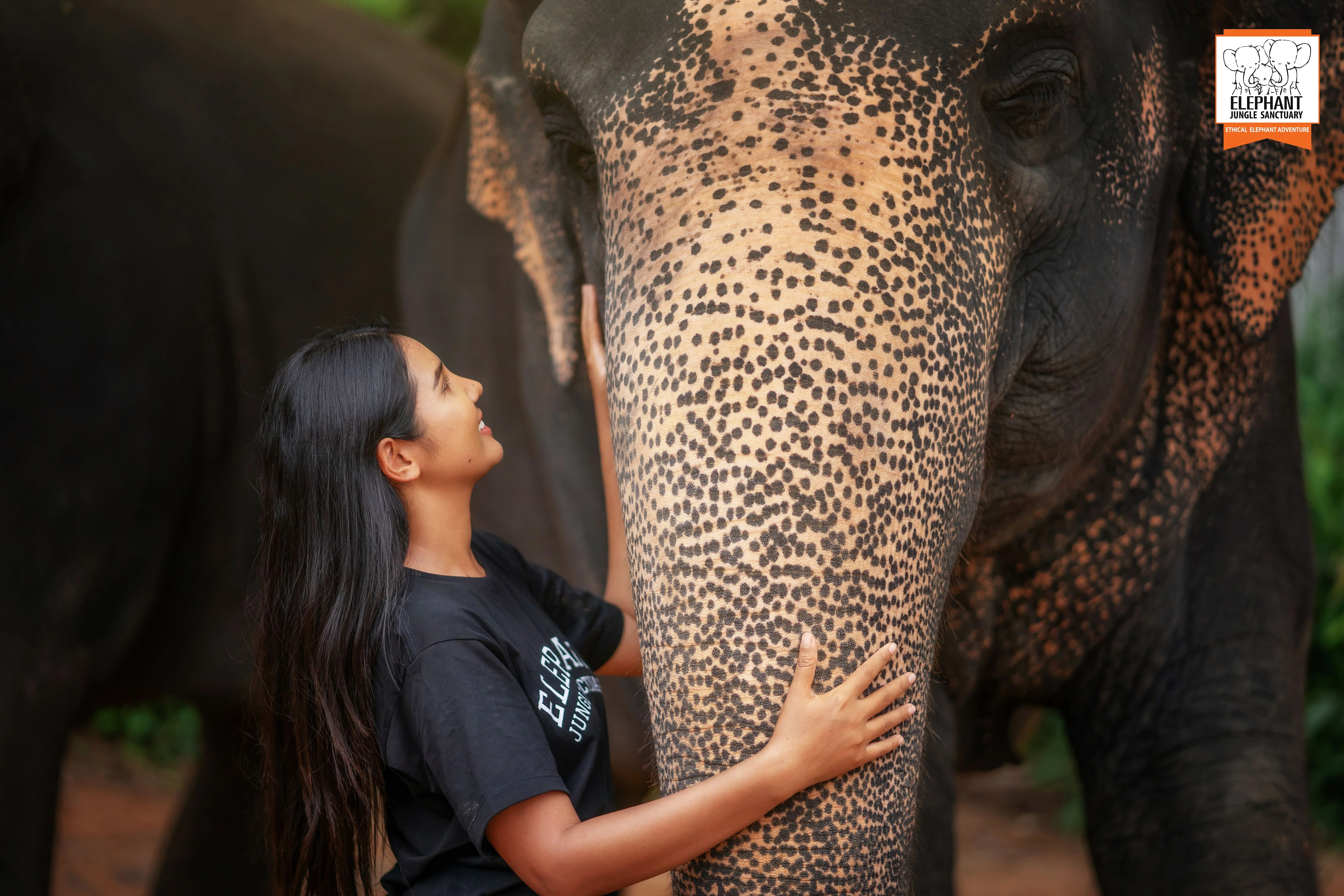 Punto de salida recogidas: Santuario de Elefantes de Samui 