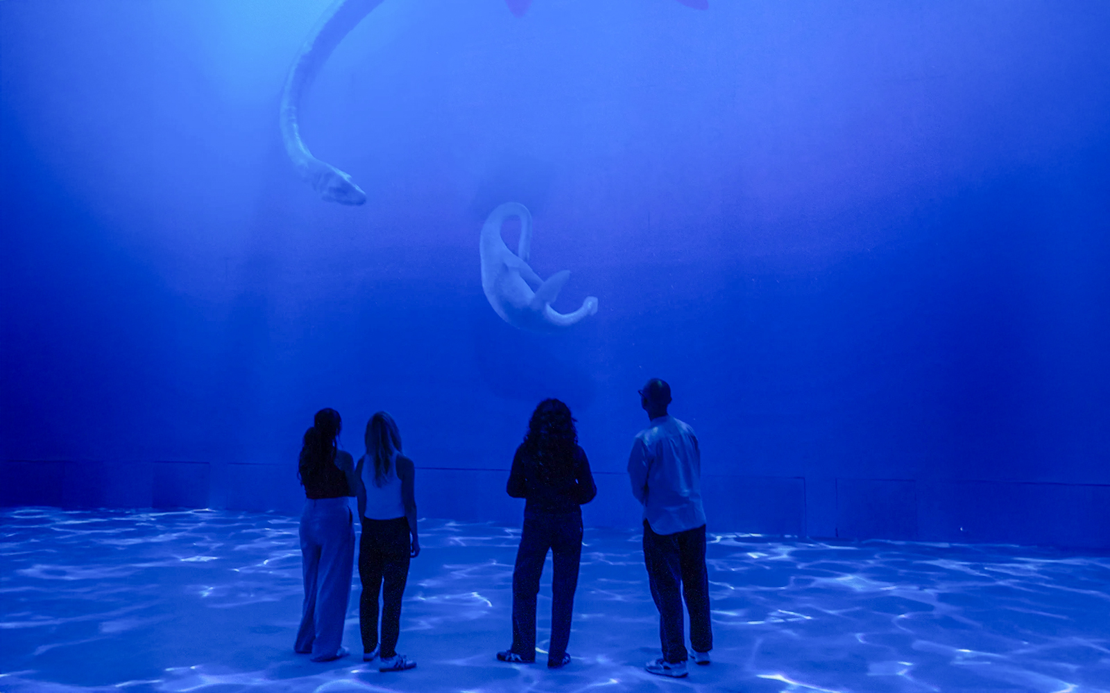 Guests viewing dinosaur projections at Phoenix des Lumières Dortmund exhibition.