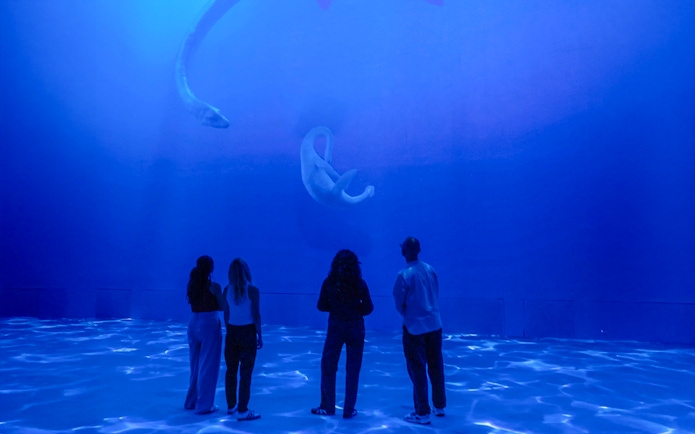 Guests viewing dinosaur projections at Phoenix des Lumières Dortmund exhibition.
