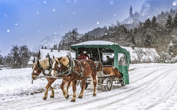 Horse-drawn carriage in snow near Neuschwanstein Castle, Germany.