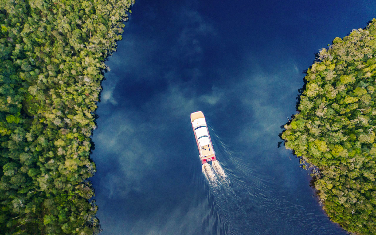 Cruise boat on Gordon River surrounded by lush forest, Strahan, Tasmania.