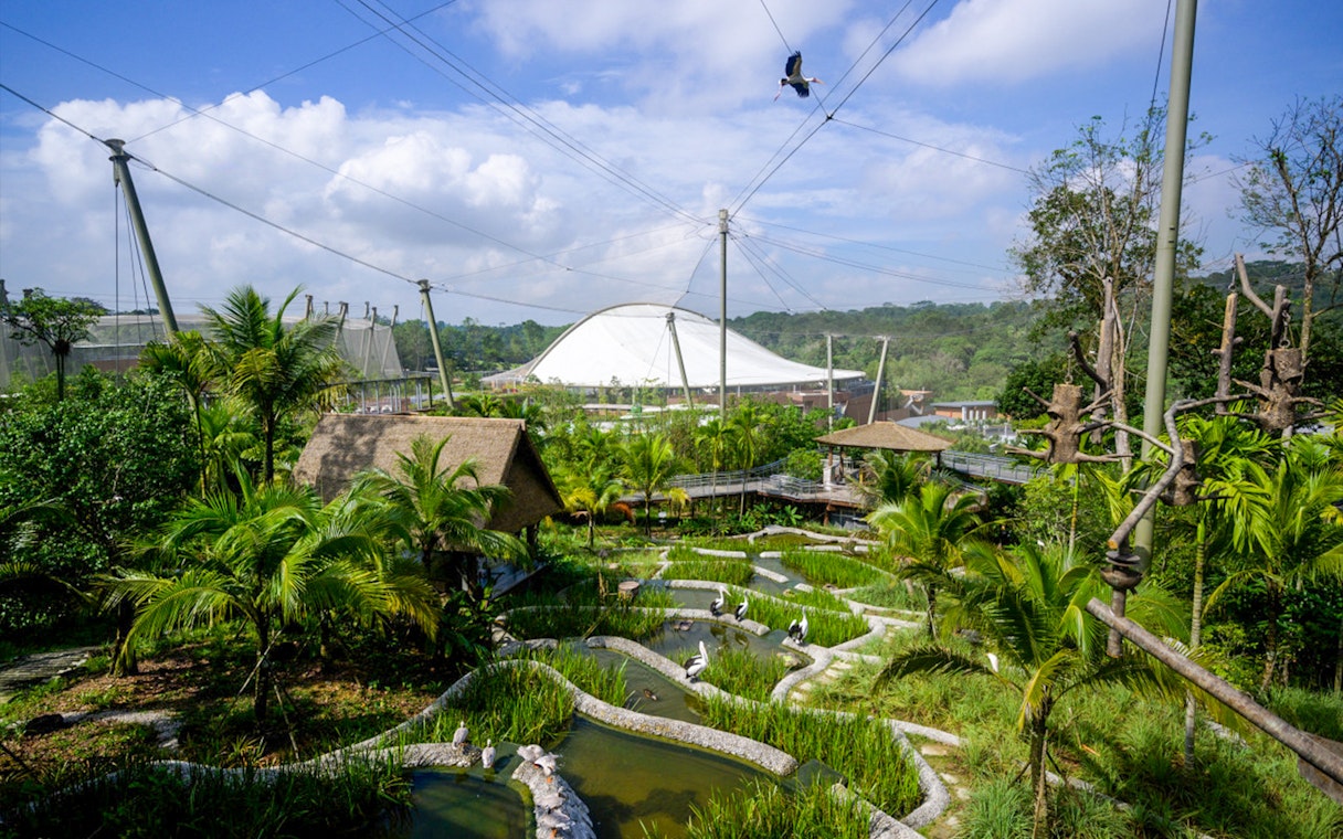 Bird Paradise aviary with lush greenery and water features at River Wonders, Singapore.