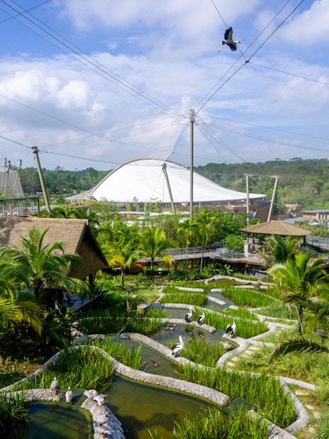 Bird Paradise aviary with lush greenery and water features at River Wonders, Singapore.
