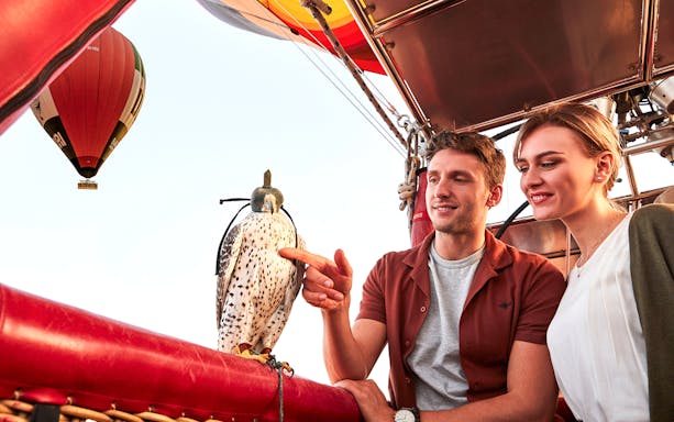 Hot air balloon ride with falconry experience, featuring a couple observing a falcon in the basket.