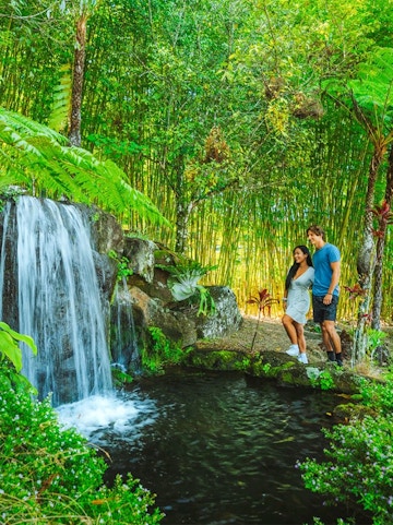 Couple standing by a waterfall in Maleny Botanic Gardens, surrounded by lush greenery.