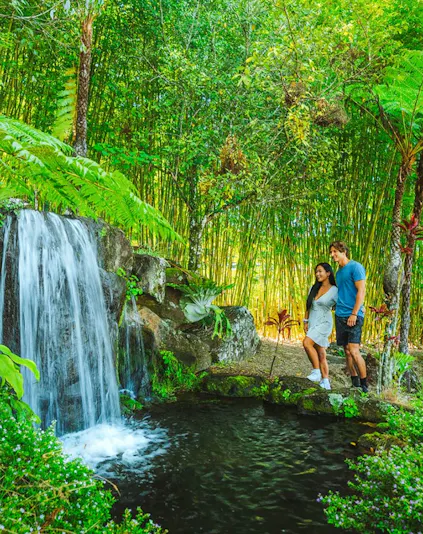 Couple standing by a waterfall in Maleny Botanic Gardens, surrounded by lush greenery.