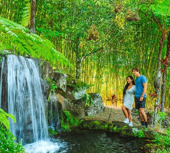 Couple standing by a waterfall in Maleny Botanic Gardens, surrounded by lush greenery.
