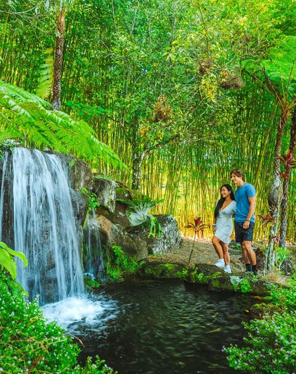 Couple standing by a waterfall in Maleny Botanic Gardens, surrounded by lush greenery.
