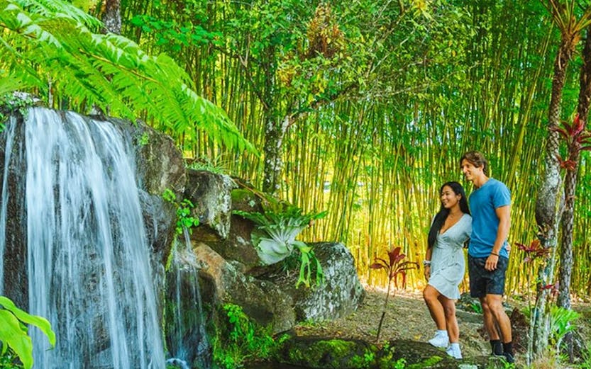 Couple standing by a waterfall in Maleny Botanic Gardens, surrounded by lush greenery.