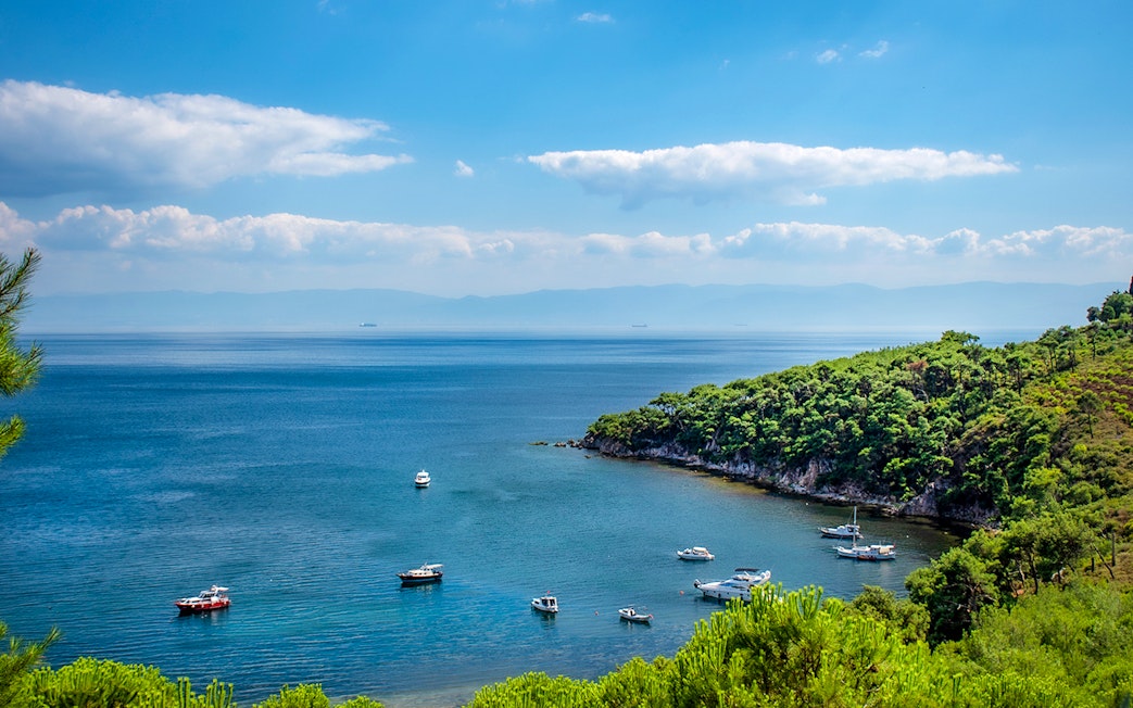 Ferry approaching Princess Island with boats in the bay and lush greenery.