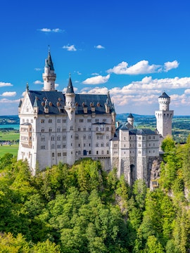Neuschwanstein Castle in Bavaria, Germany, surrounded by lush green forest.