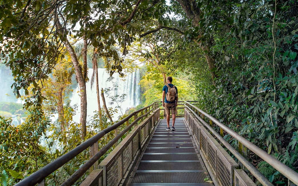 Traveler with backpack on walkway through lush forest at Iguazu Falls.