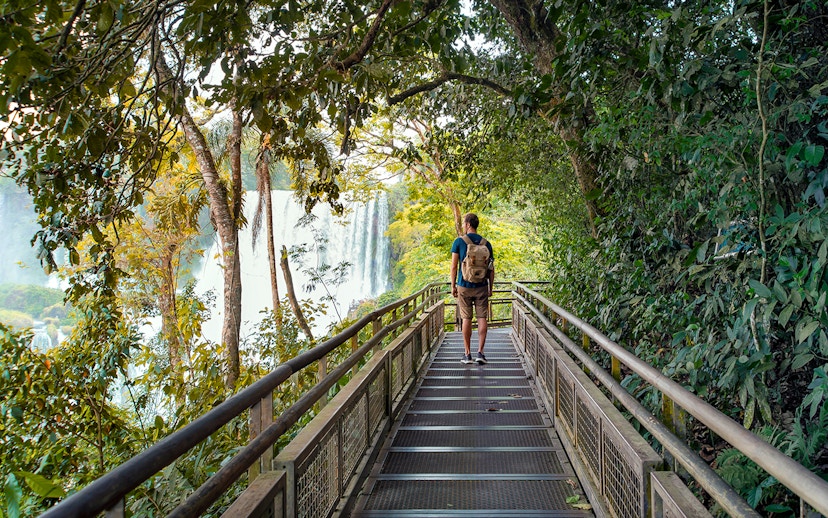 Traveler with backpack on walkway through lush forest at Iguazu Falls.