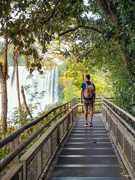 Traveler with backpack on walkway through lush forest at Iguazu Falls.