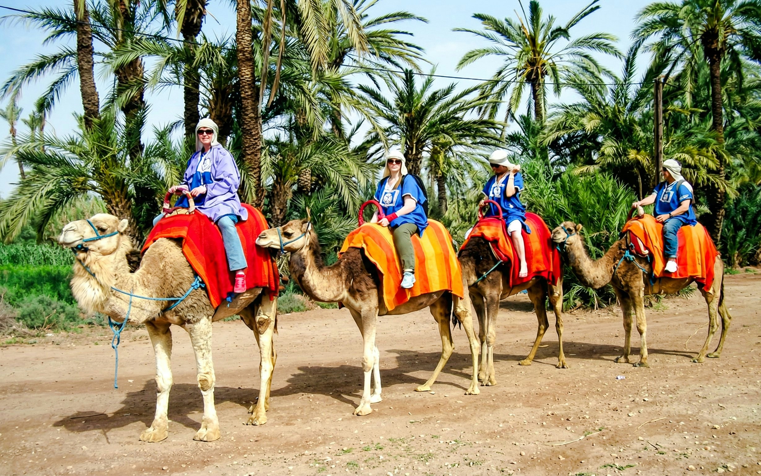 Camel ride through the Palmeraie with tourists, surrounded by palm trees.