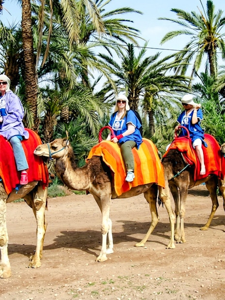 Camel ride through the Palmeraie with tourists, surrounded by palm trees.