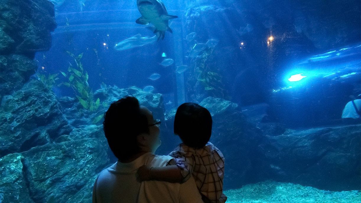Visitors exploring underwater tunnel at SeaLife Bangkok Ocean World.