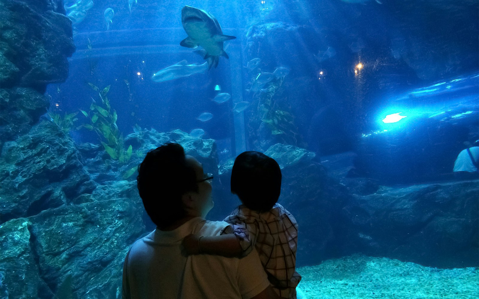 Visitors exploring underwater tunnel at SeaLife Bangkok Ocean World.