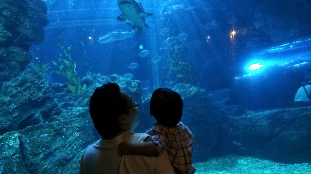 Visitors exploring underwater tunnel at SeaLife Bangkok Ocean World.