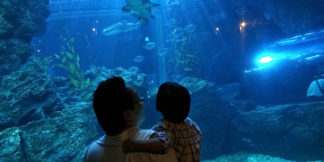 SeaLife Bangkok