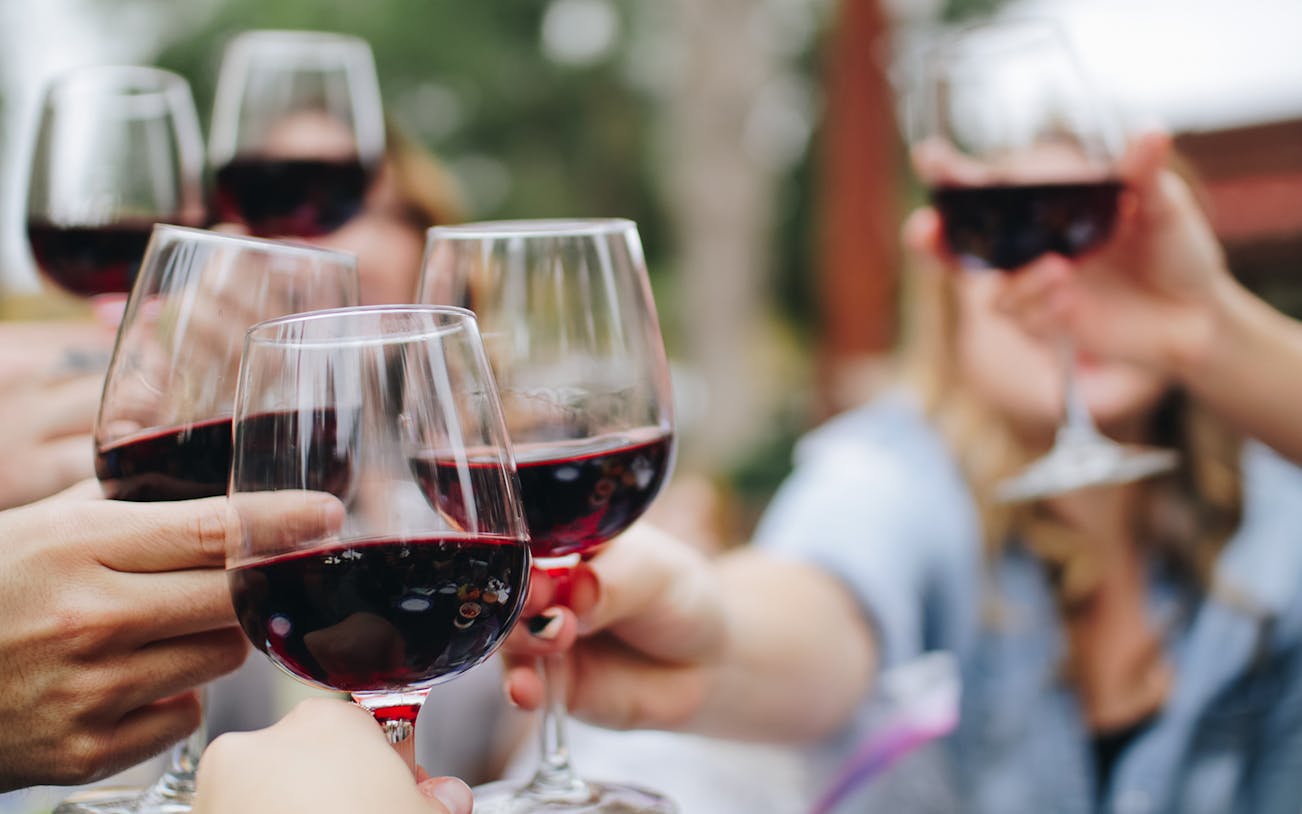 Wine glasses raised in a toast during a Florence wine experience in Chianti Hills.