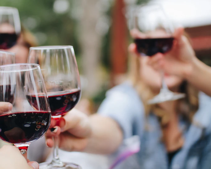 Taste of Chianti: Countryside Flavors & Vineyard Tour and Tastings