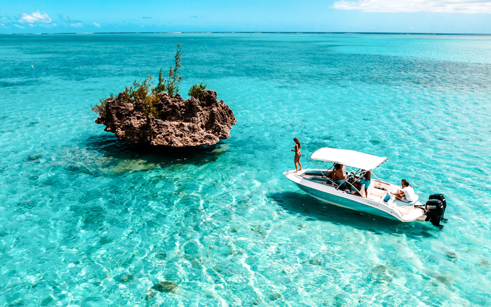 Mauritius Dolphin Encounters Cruise to Île aux Bénitiers and Crystal Rock with Lunch and Transfers Image 2