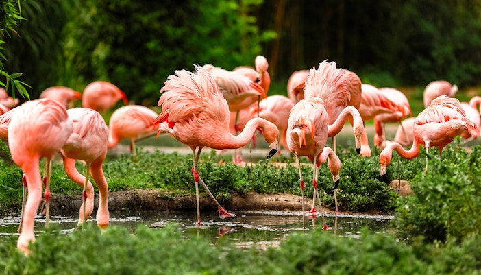 zoo leipzig