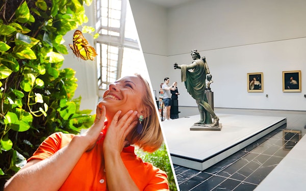 Combo: Louvre + Butterfly Gardens Abu Dhabi Tickets