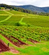 Hunter Valley