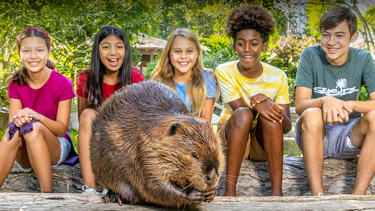 San Diego Zoo