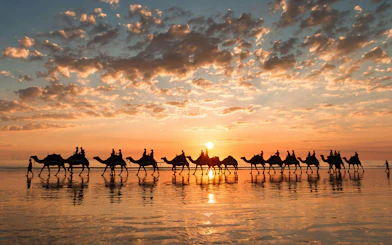 Camel ride at sunset on Tangier beach with silhouettes against the sky.