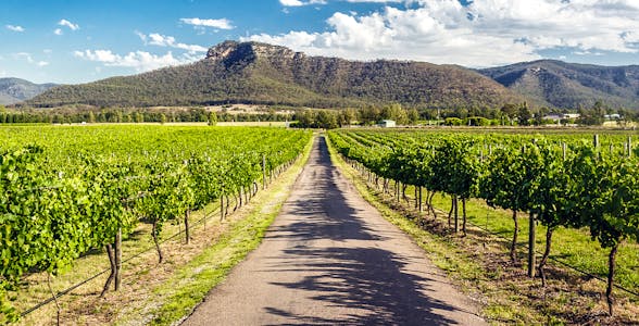 Tour dei vini della Hunter Valley