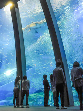 Visitors observing marine life through large aquarium windows at Hakkeijima Sea Paradise.