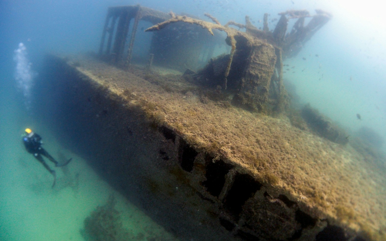 Malta National Aquarium Tickets