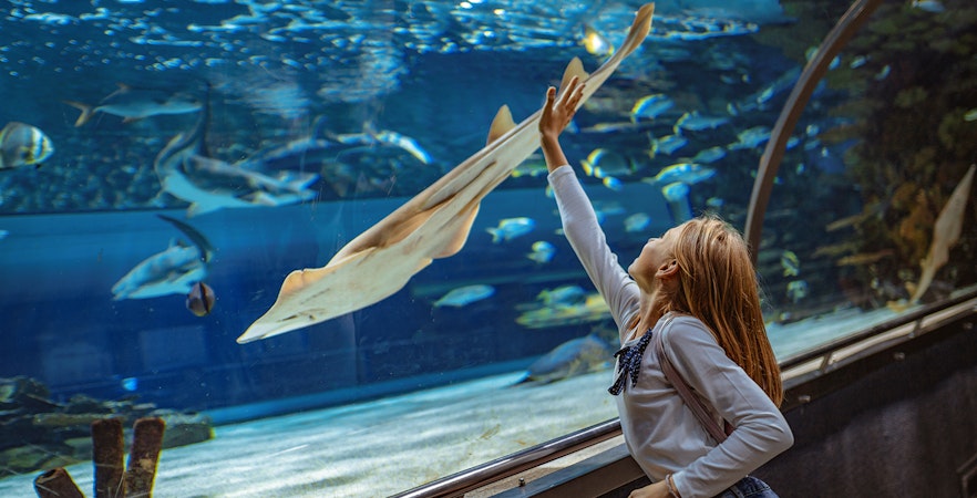Paris Aquarium Tickets & Tours