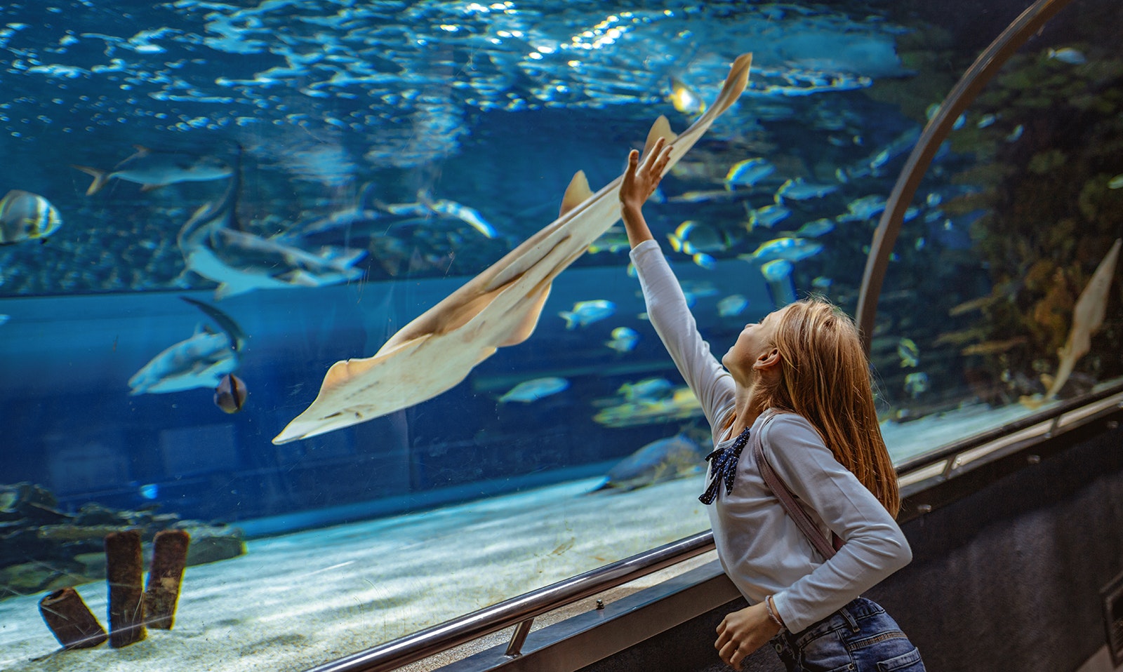 Barcelona Aquarium