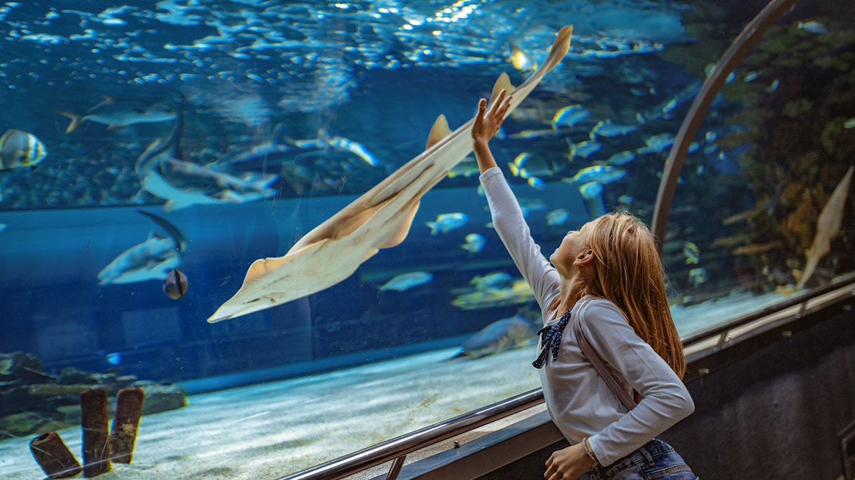 Family at SEA LIFE Bangkok
