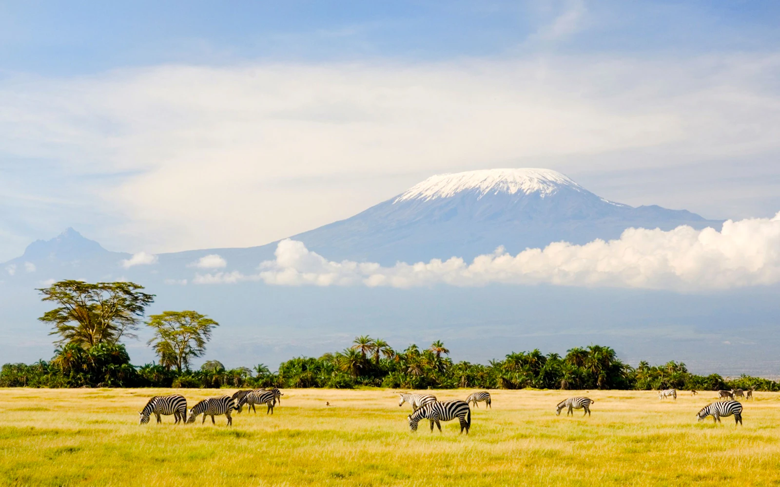 Mount Kilimanjaro Marangu Route 6-Day Trek Image 2